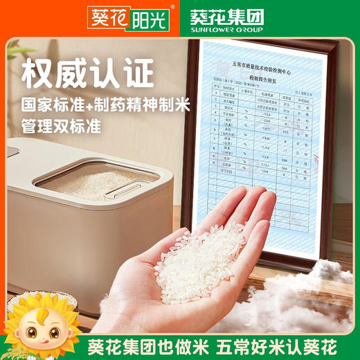 葵花阳光  精稻系列100五常大米5kg东北大米团购 精稻五常大米5kg（新包装） 商品图2