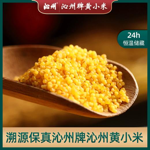 沁州黄小米 山西小米2kg真空袋装五谷杂粮  山西特产吃的小米粥小黄米 商品图4