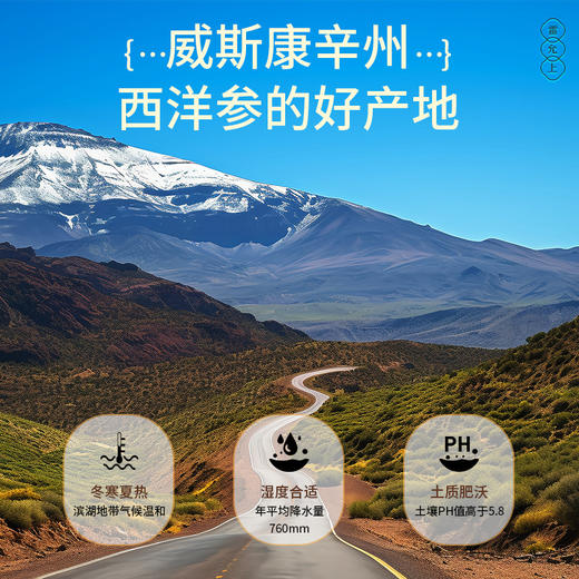 雷允上直营 | 美国进口花旗参片100g/罐（1.4-1.6cm） 参味浓郁 泡茶煲汤 商品图1