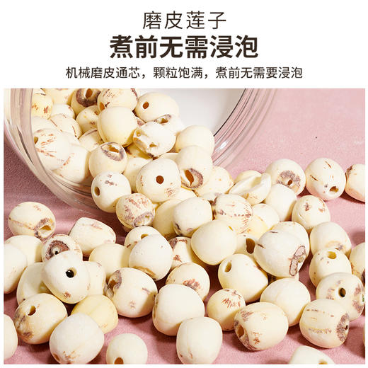 雷允上莲子250g/罐 商品图2