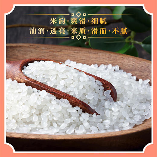 十月稻田臻选珍珠大米5kg 珍珠米 5kg 商品图4