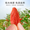 雷允上宁夏枸杞100g/罐 商品缩略图1