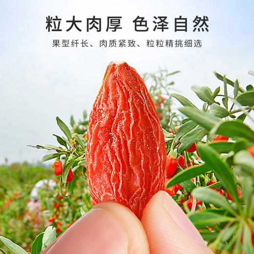 雷允上宁夏枸杞100g/罐 商品图1