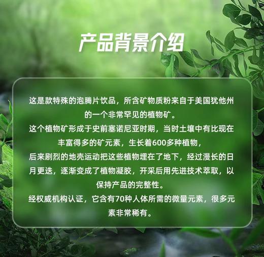 全元素天然有机矿物质泡腾片 美国SenTraMin Sizzling Minerals 补充矿物质 商品图2