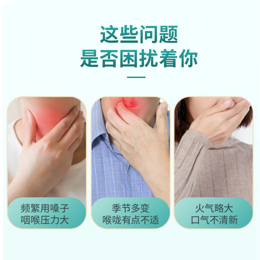 雷允上薄荷味金银花罗汉果糖20g/袋 商品图1