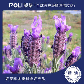 西班牙有机进口头状薰衣草精油单方精油原料 POLI颇黎护肤精油香