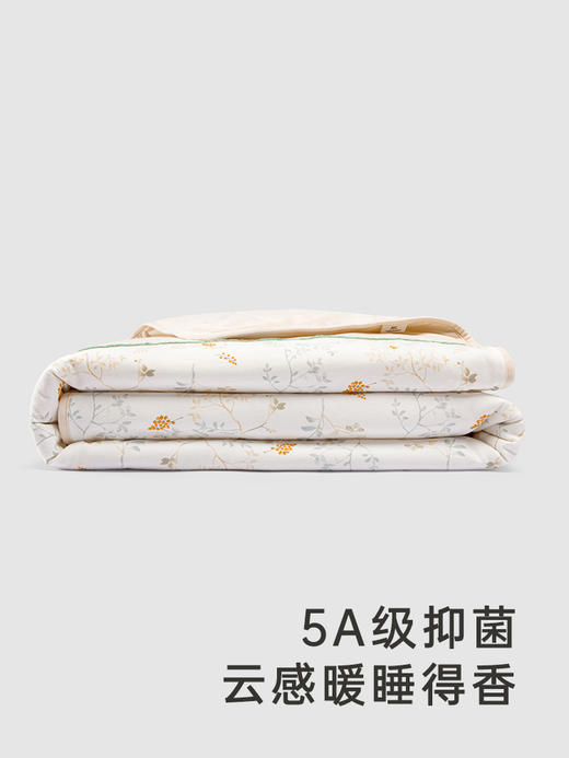 英氏婴童被子5A抑菌夹棉保暖大被子2024新款床品YEBBJ0Q002A 商品图1