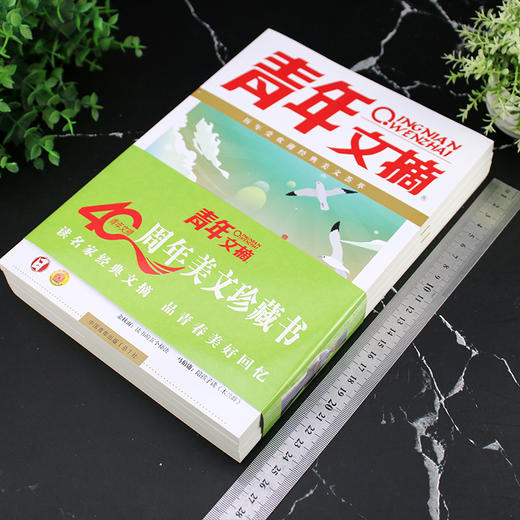 《青年文摘：40周年精华美文珍藏书》日月星辰版全4册  不仅仅能提升写作，更是青春指南 【9-18岁】 商品图9