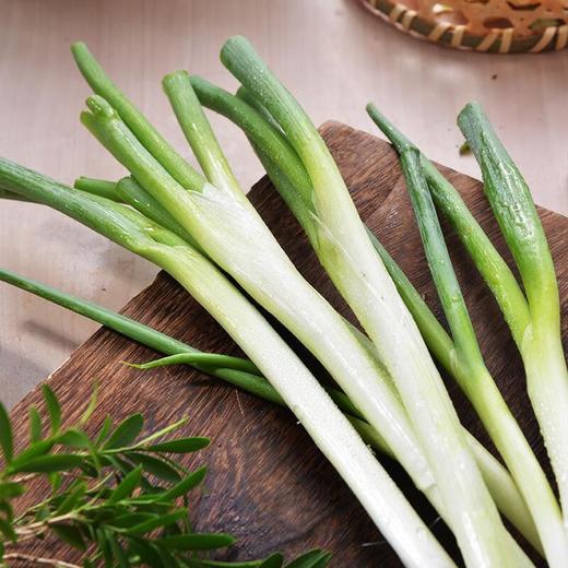本地大葱 约300g/袋 商品图3