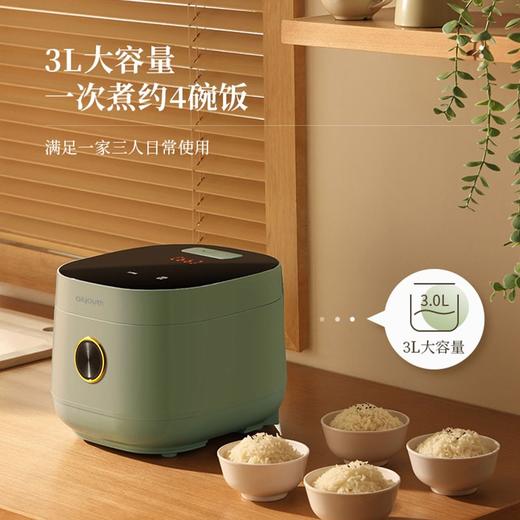 艾青春电饭煲（低糖）IQC-FB503A 带脱糖内胆 商品图1