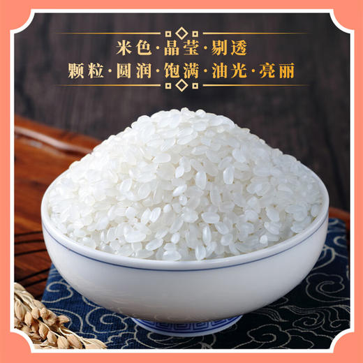 十月稻田臻选珍珠大米5kg 珍珠米 5kg 商品图3