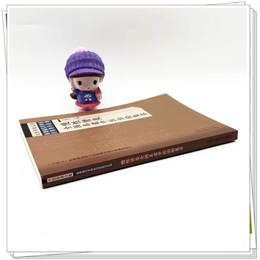 慢性肾炎全国名老中医治验集萃 谷晓红 主编 中国中医药出版社 大医传承文库 疑难病名老中医经验集萃系列 商品图2