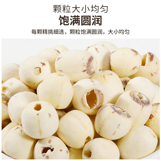 雷允上莲子250g/罐 商品图1