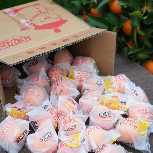 【细嫩多汁】李小橙玫瑰血橙·自带玫瑰香 商品图10