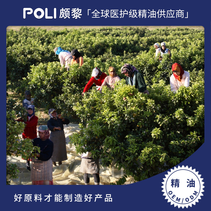 意大利进口橙花精油原料 美容院单方精油香薰 批发按摩护肤橙花精油