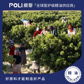 意大利进口橙花精油原料 美容院单方精油香薰 批发按摩护肤橙花精油