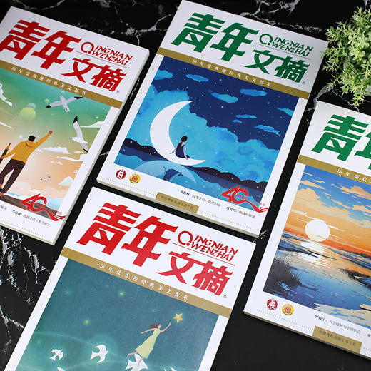 《青年文摘：40周年精华美文珍藏书》日月星辰版全4册  不仅仅能提升写作，更是青春指南 【9-18岁】 商品图8