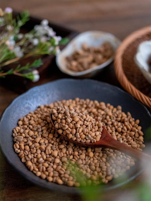 麸炒薏米 商品图1