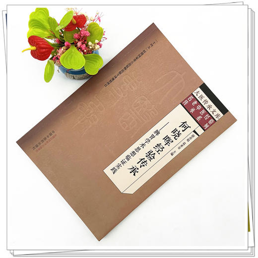 何晓晖经验传承 脾胃学术思想临证实践 徐春娟 葛来安 主编 中国中医药出版社 大医传承文库 名老中医经验传承系列 商品图1