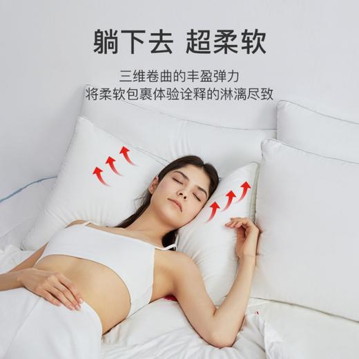 舒飘儿Extralife高弹枕【佳人严选】 商品图1