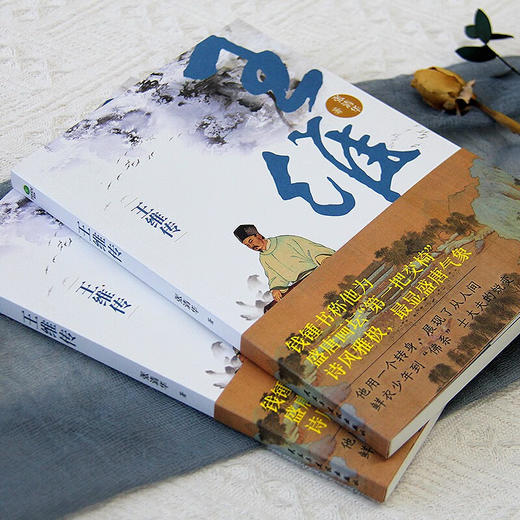 王维传 张清华 著 传记 商品图1