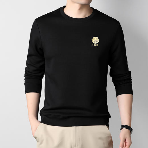 【新款DDA】大依优型大码长袖卫衣圆领套头加肥加大宽松休闲上衣男士男装T恤打底 商品图0