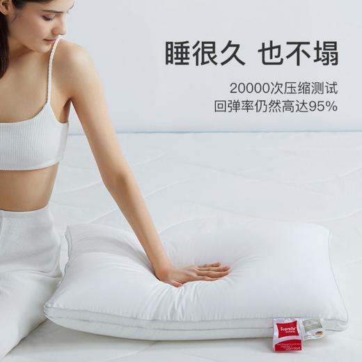 舒飘儿Extralife高弹枕【佳人严选】 商品图3
