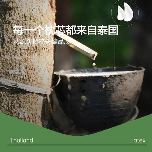 10楼 富安娜 瑞享泰国进口乳胶乳胶枕58*39cm 吊牌价880元 活动价299元/只 商品图2