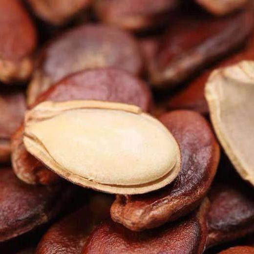 沙湾红瓜子 商品图1