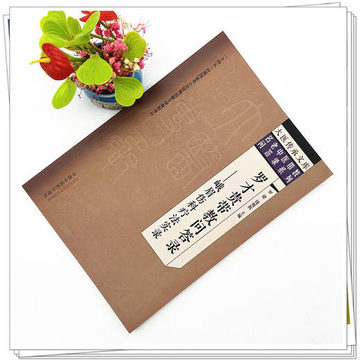 罗才贵带教问答录 峨眉伤科疗法实录 罗建 钱俊辉 主编 中国中医药出版社 大医传承文库 名老中医带教问答录系列 商品图1