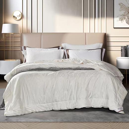 【春上新】10楼 富安娜 蚕丝大豆暖芯春秋被-星婉 吊牌价1980-2380元 活动价599-699元 商品图1