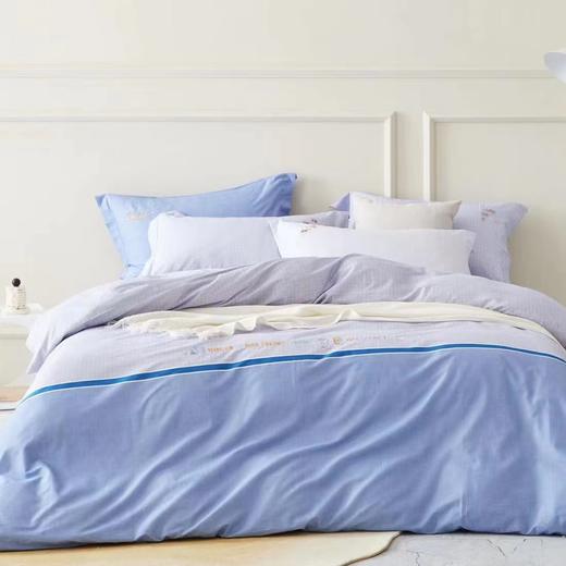 【春上新】10楼 恐龙 全棉四件套RAD2099P-4   吊牌价1480-1680元    活动价399-499元 商品图1