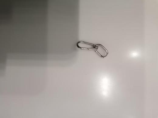 【不退不换，无包装，有氧化瑕疵介意勿拍.订单实付低于299元不发货】潘多拉 耳环  299664C00 -F 商品图0