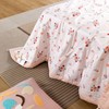 【远梦】全棉棉花夏被 商品缩略图3