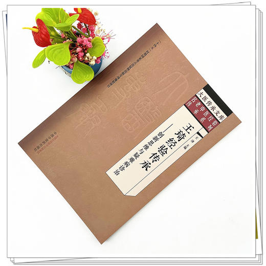 王琦经验传承 创新思维与疑难病诊治 王济 主编 中国中医药出版社 大医传承文库 名老中医经验传承系列 商品图1