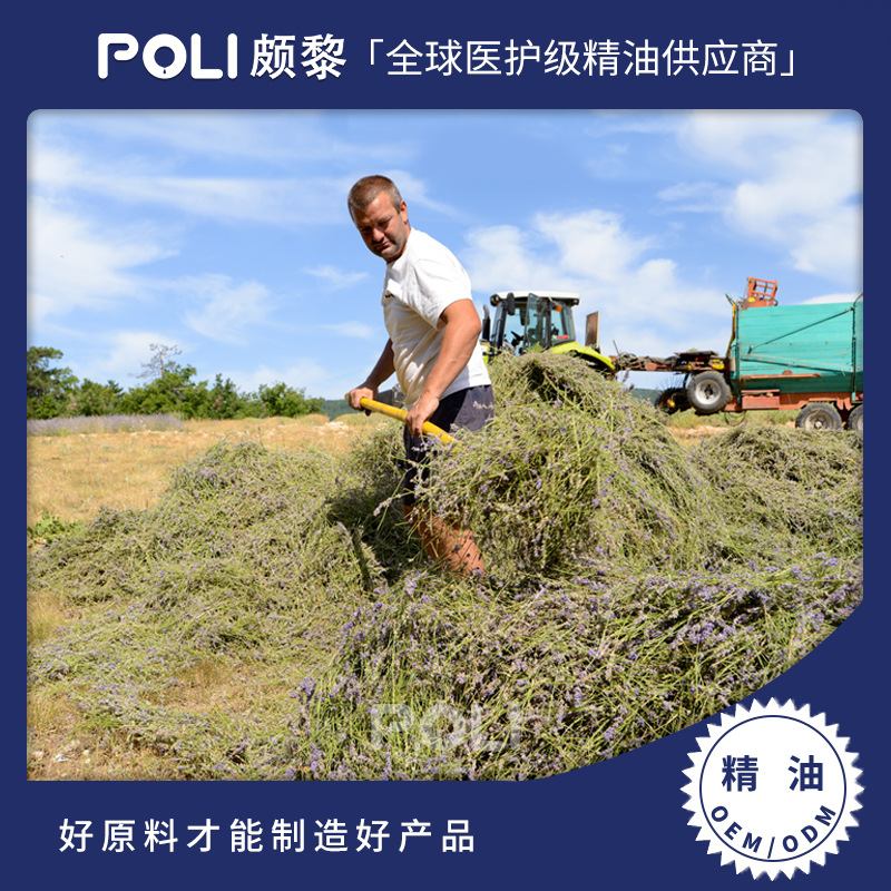 法国进口有机高地薰衣草精油 单方精油香薰 护肤薰衣草精油原料