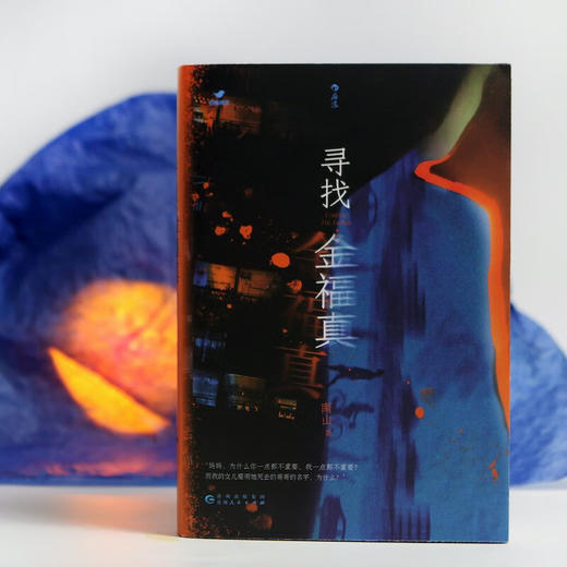 寻找金福真 南山著女性视角悬疑小说 商品图0