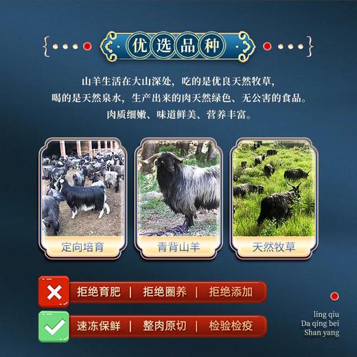 华喜精选 山西大同灵丘青背山羊羊肉礼盒礼品2kg 商品图4