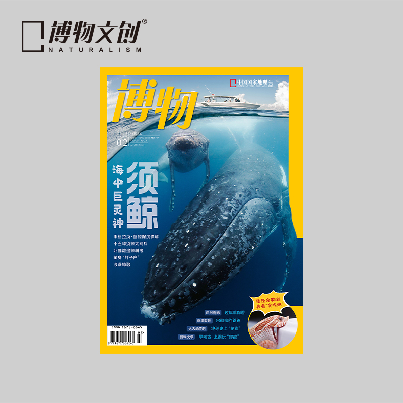 博物杂志 2024年2月刊  须鲸