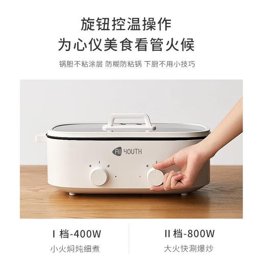 艾青春5.5L电火锅（鸳鸯锅）AI-HG318 商品图2