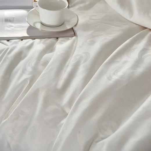 【春上新】10楼 富安娜 蚕丝大豆暖芯春秋被-星婉 吊牌价1980-2380元 活动价599-699元 商品图2