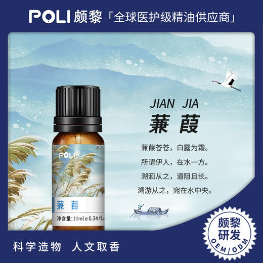 蒹葭复方精油原料 蒹葭香薰扩香精油 10ml空间香氛复方精油批发 商品图0