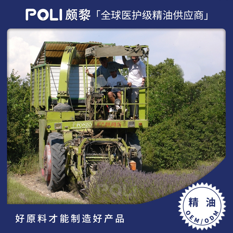 法国有机普罗旺斯薰衣草精油原料 颇黎单方精油原料 进口补水按摩精油