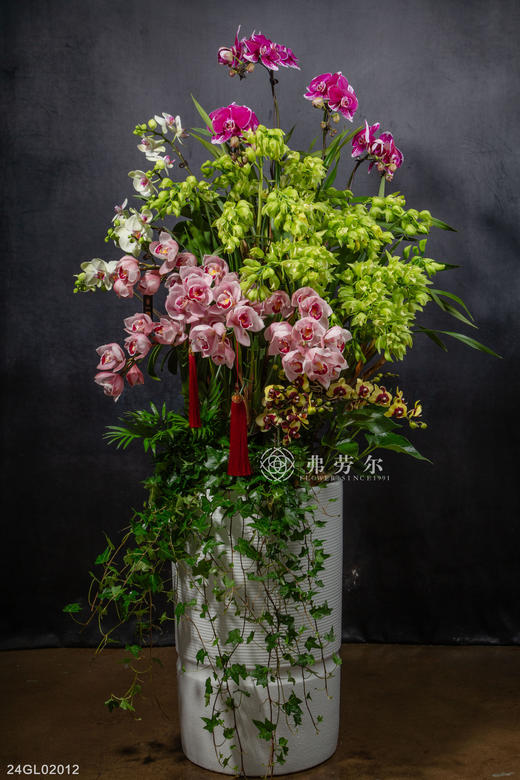 24GL02012 商品图0