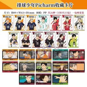 排球少年 picharm 收藏卡 全26种 13包/盒 谷子