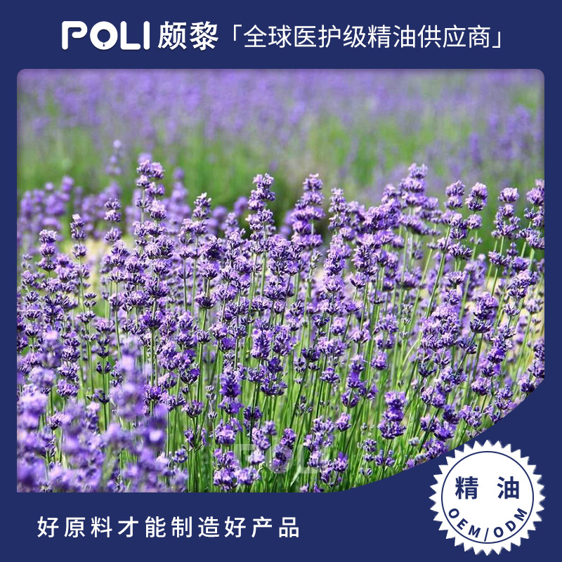 新疆薰衣草精油 天然植物提取原料 10ml薰衣草单方精油香薰批发