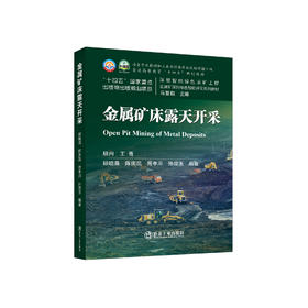 金属矿床露天开采/顾晓薇,陈庆凯,胥孝川,孙效玉