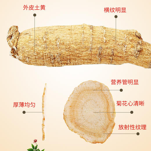 雷允上直营 | 美国进口花旗参片100g/罐（1.4-1.6cm） 参味浓郁 泡茶煲汤 商品图2