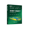 金属矿山地质学/付建飞，姚玉增，王恩德 商品缩略图0