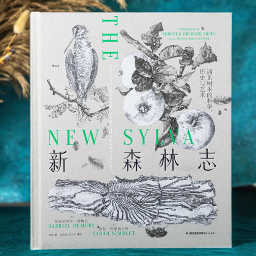新森林志 加布里埃尔·赫梅吕等 著 科普读物 商品图1